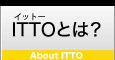 ittoとは