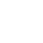 S̒eXg΍