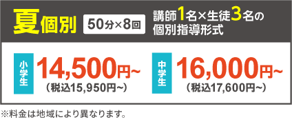 夏個別 1対3個別